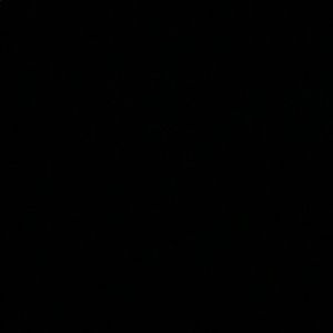 Meet your Posher, Darrel